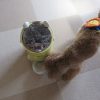 自動餌やり機 犬用 使ってみました