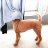 ペットの洗濯洗剤 何使ってますか？