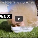 衝撃のトイプー＠まつもと犬がAmazonプライムビデオで新番組！？