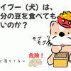 トイプーは節分の豆を食べてもいいの？食べさせない方法は？