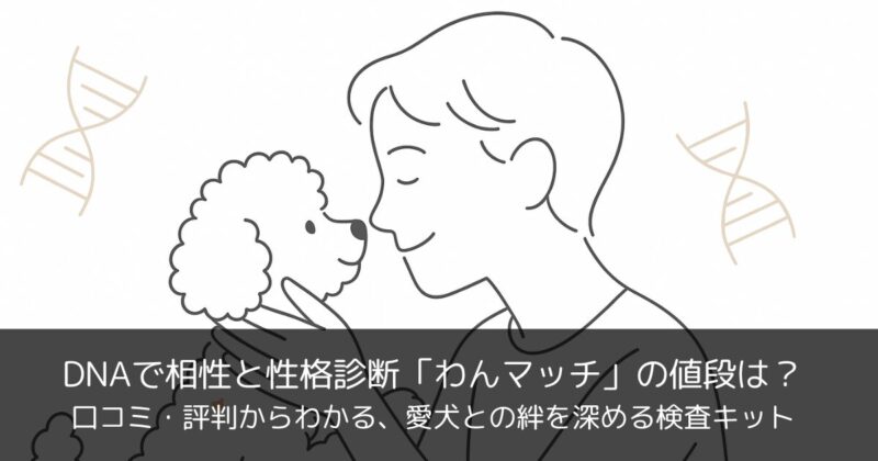DNAで相性と性格診断「わんマッチ」の値段は？口コミ・評判からわかる、愛犬との絆を深める検査キット