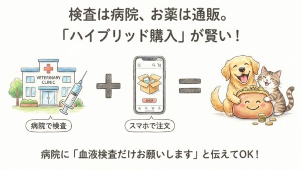「検査だけ」を動物病院に依頼する方法