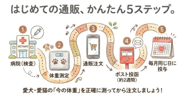 初めてでも迷わない購入フロー