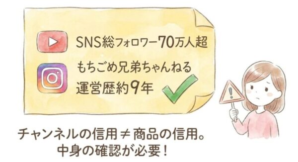 もちごめ兄弟ちゃんねるとはどんな存在か