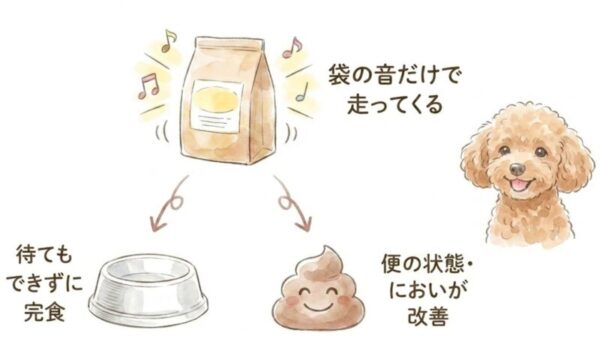 食いつき・完食率のリアルな変化
